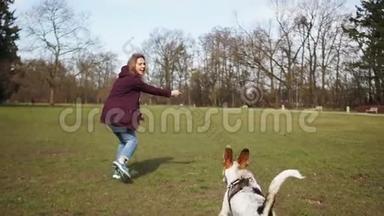 可爱的小女孩正和她的狗在公园里玩耍和跑步。 带着宠物走，遛狗